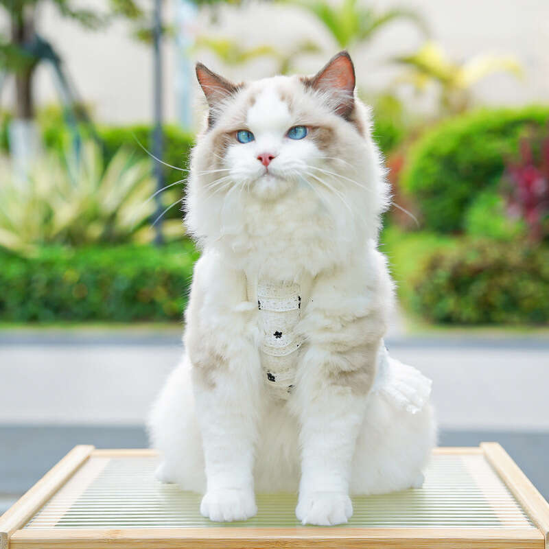 Famous brand Original Short Legged Spring Summer Layered Lace Vest Dog Clothes Cat Clothing Pet Supplies pupakaIK