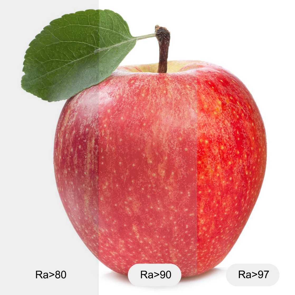 OCONA Ra97 High CRI COB LED Strip Light 8mm Flexible 480LED/m LED Tape Lights Ribbon 24V Warm/Cool White 2700K 5000K Dimmable H260304