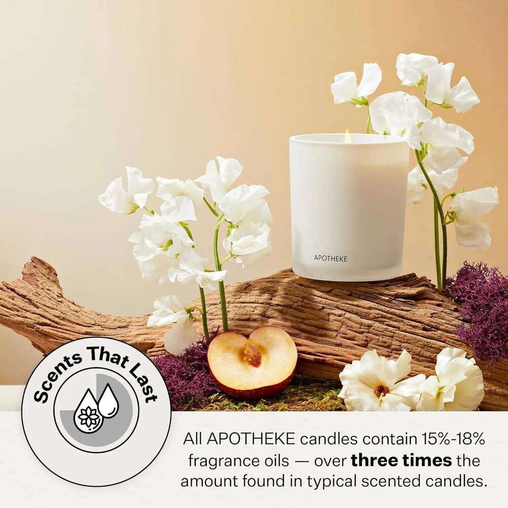 White Vetiver Scented Candle, 10.5 oz Soy Wax, Non-Toxic Luxury Home Decor Gift for Women & Men W260304