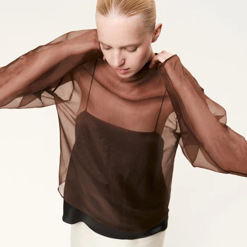 Linad Elegant Brown Mesh O Neck Blouse Women 2025 Sexy Apricot Sheer Shirt Female Autumn Street Chic Loose Long Sleeve Tops 260227