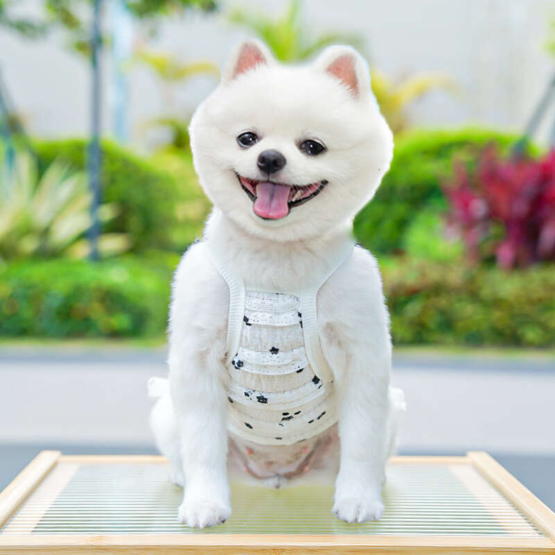 Famous brand Original Short Legged Spring Summer Layered Lace Vest Dog Clothes Cat Clothing Pet Supplies pupakaIK