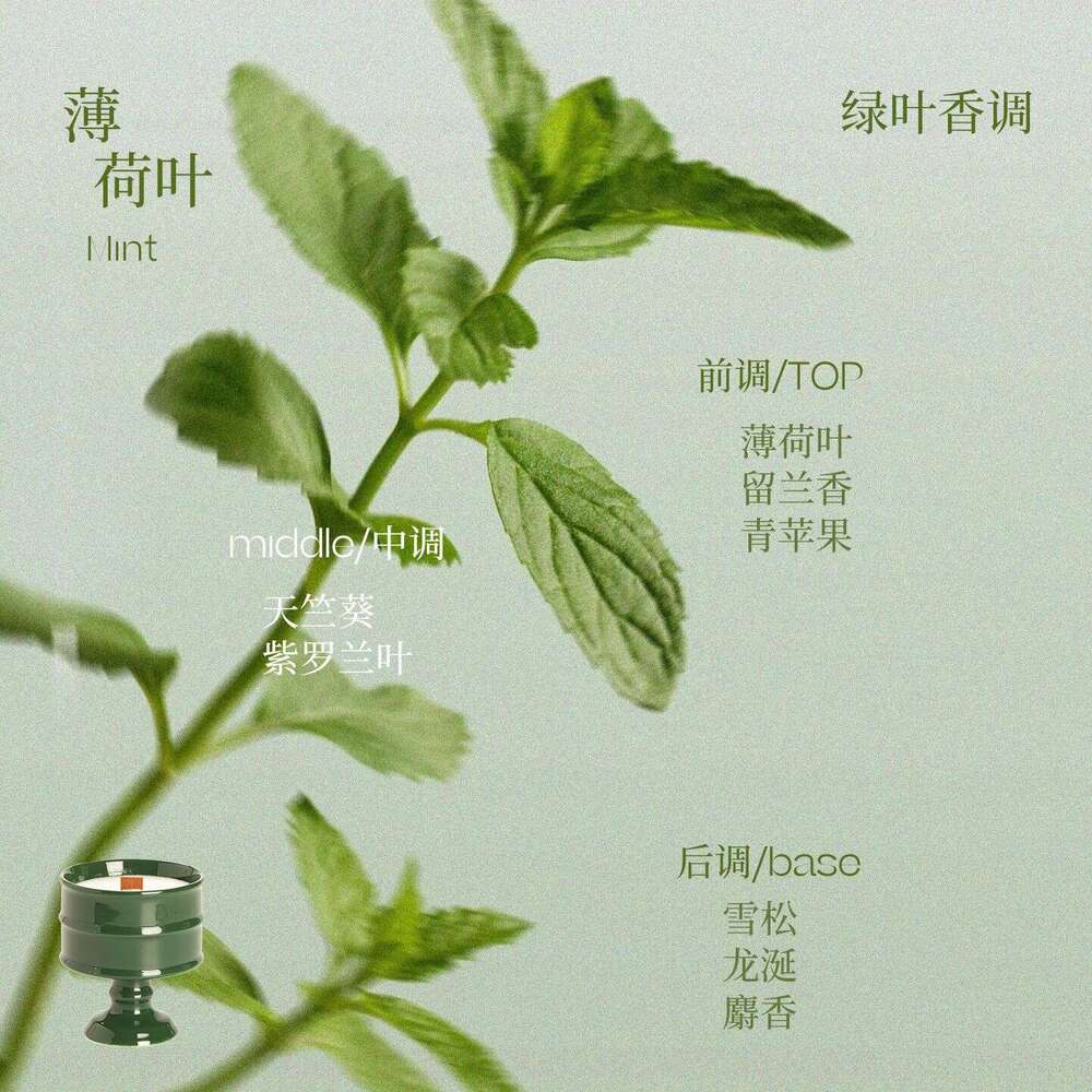 Bai Mi Container Cup Handmade Home Indoor Soy Wax Candle Aromatherapy Fragrance W260304