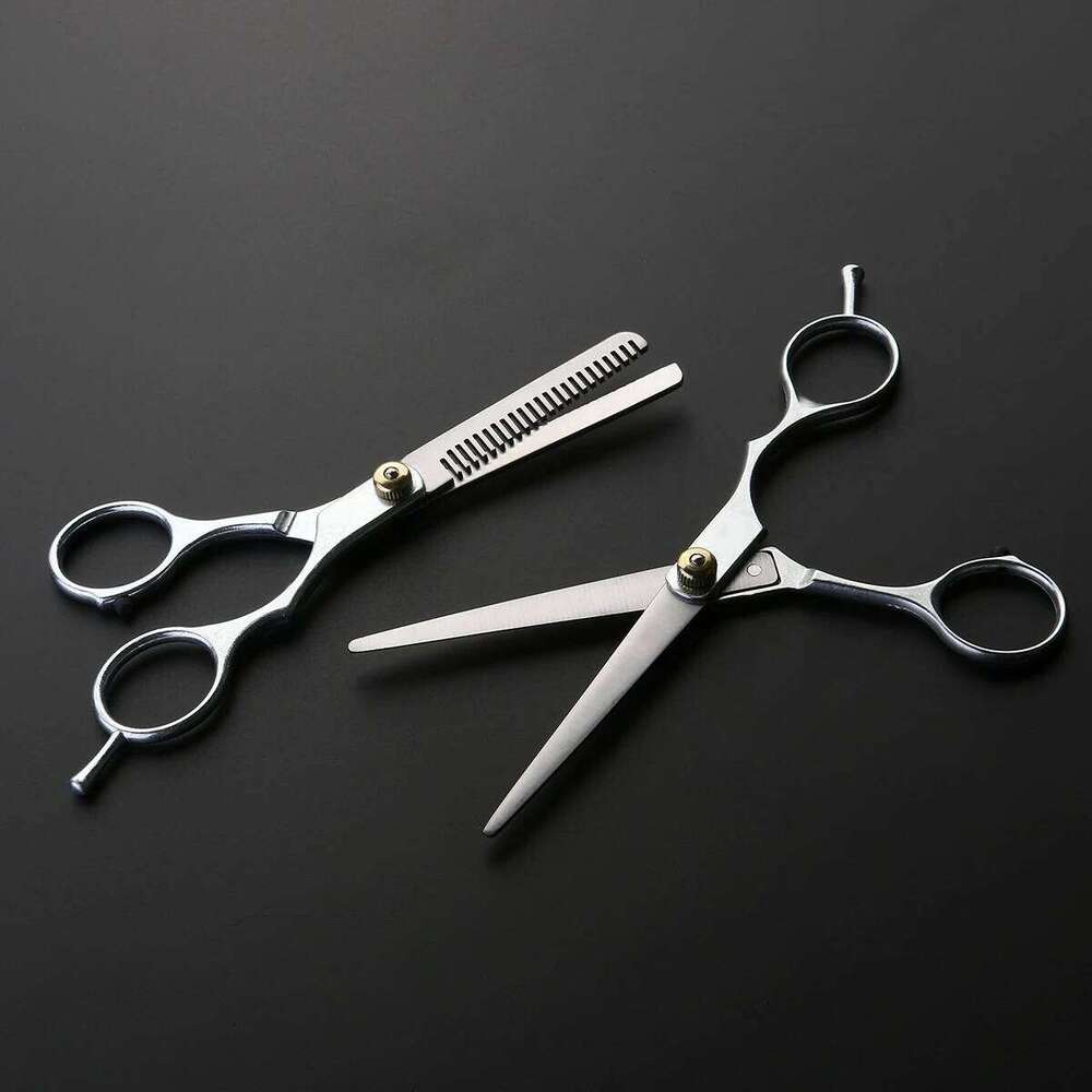 2Pcs Salon Barber Scissors Set Silver Stainless Steel Part Zinc Alloy Grip Hair Cutting Thinning Hairdressing Shears H260303