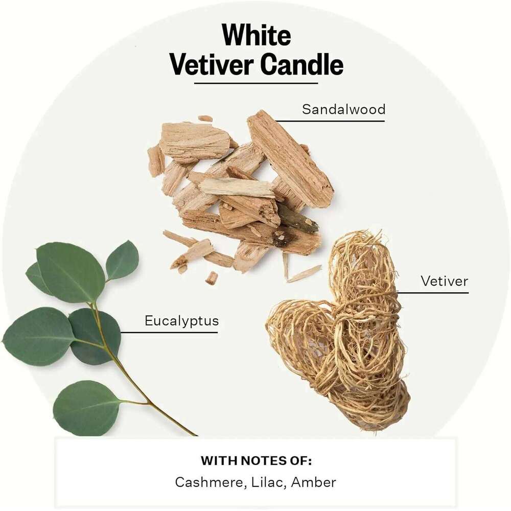 White Vetiver Scented Candle, 10.5 oz Soy Wax, Non-Toxic Luxury Home Decor Gift for Women & Men W260304