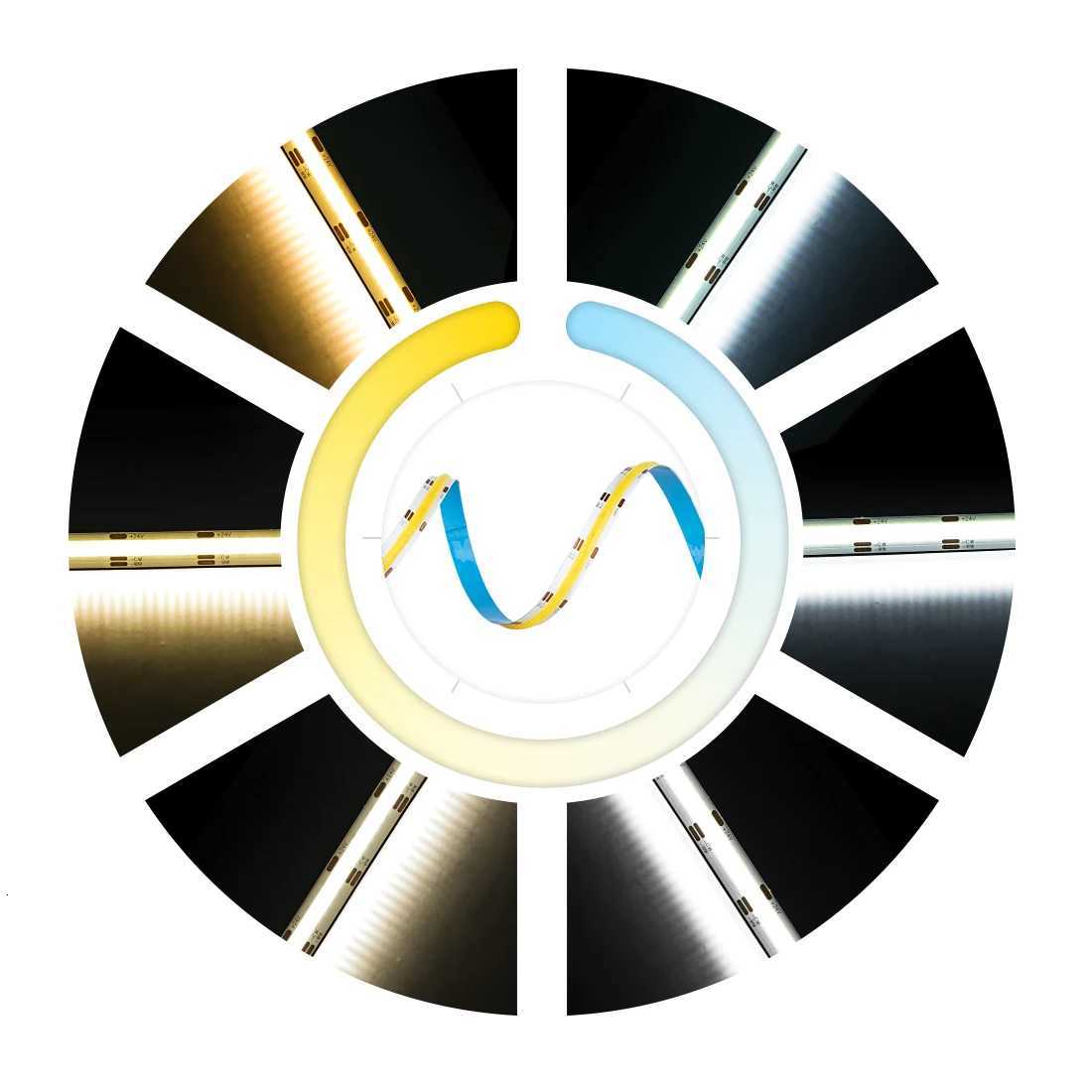 FCOB CCT LED Light Strip 640 LEDs High Density Flexible FOB COB 10mm Led Lights RA90 3000K to 6000K Linear Dimmable DC12V DC24V H260304