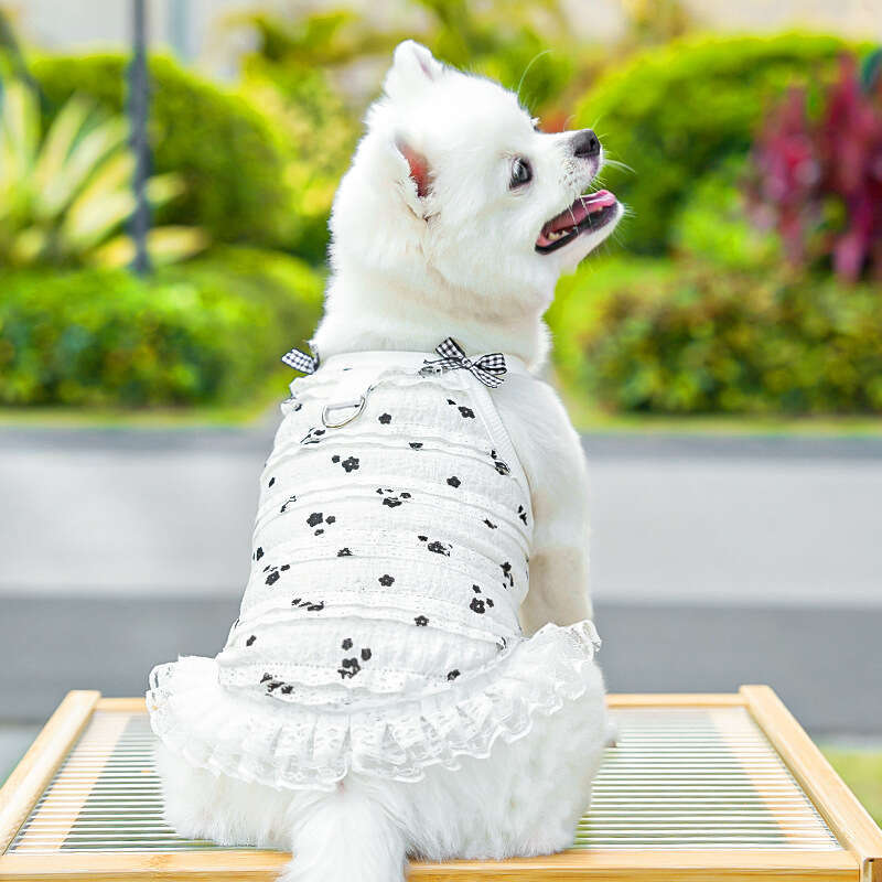 Famous brand Original Short Legged Spring Summer Layered Lace Vest Dog Clothes Cat Clothing Pet Supplies pupakaIK