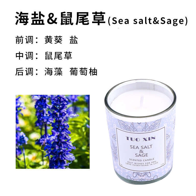 Indoor Deodorizing Plant Scented Candle Factory Supply Glass Cup Smokeless Fragrance Soy Wax DIY Gift W260304