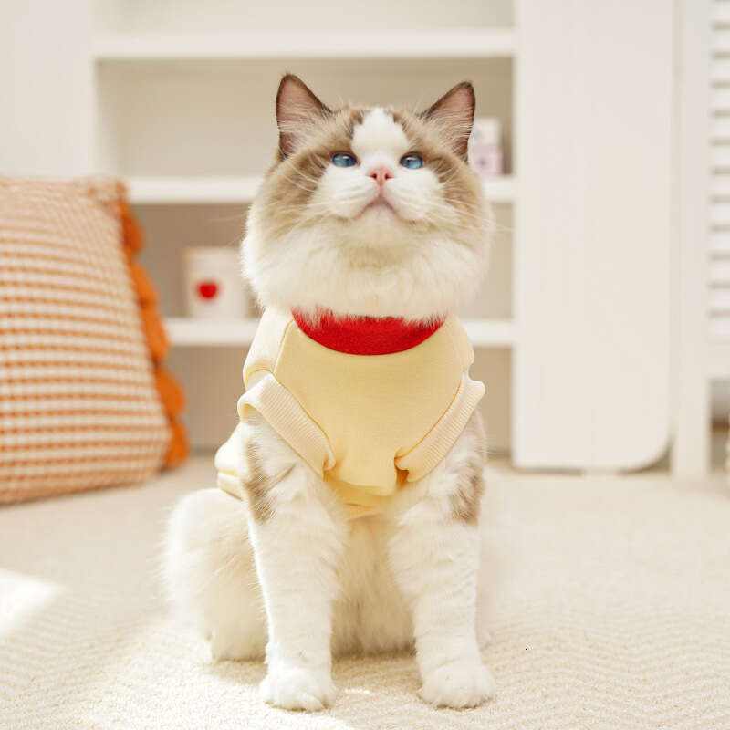 Famous brand Autumn winter fleece lined milk silk sweatshirt pet clothing large dogs and cats accessories for Teddy Golden Retriever Corgi cross borde