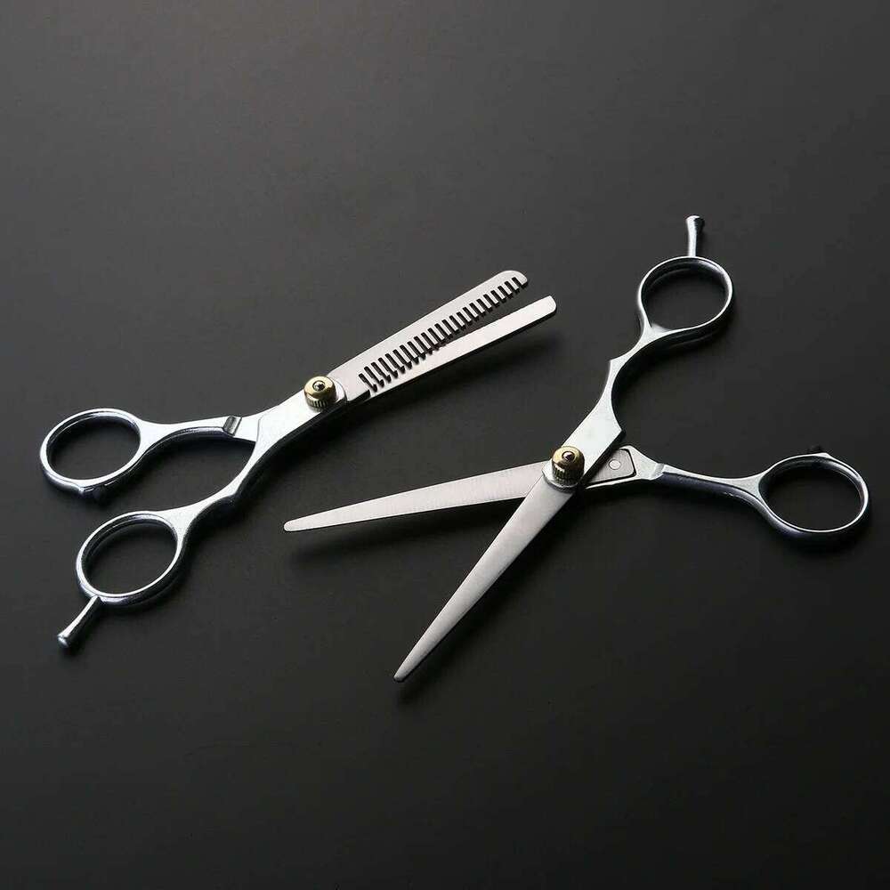 2Pcs Salon Barber Scissors Set Silver Stainless Steel Part Zinc Alloy Grip Hair Cutting Thinning Hairdressing Shears H260303