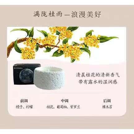 Planet Aromatherapy Nordic Colorful Gypsum Cup Candle Niche Atmosphere Bedroom Plant Essential Oil Gift W260305