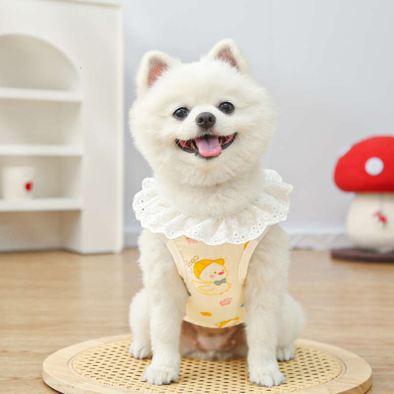 Famous brand Cotton Gauze Breathable Thin Cat Pet Dog Supplies Home Air Conditioning Clothes Outdoor Wearable with Leash pupakaIK