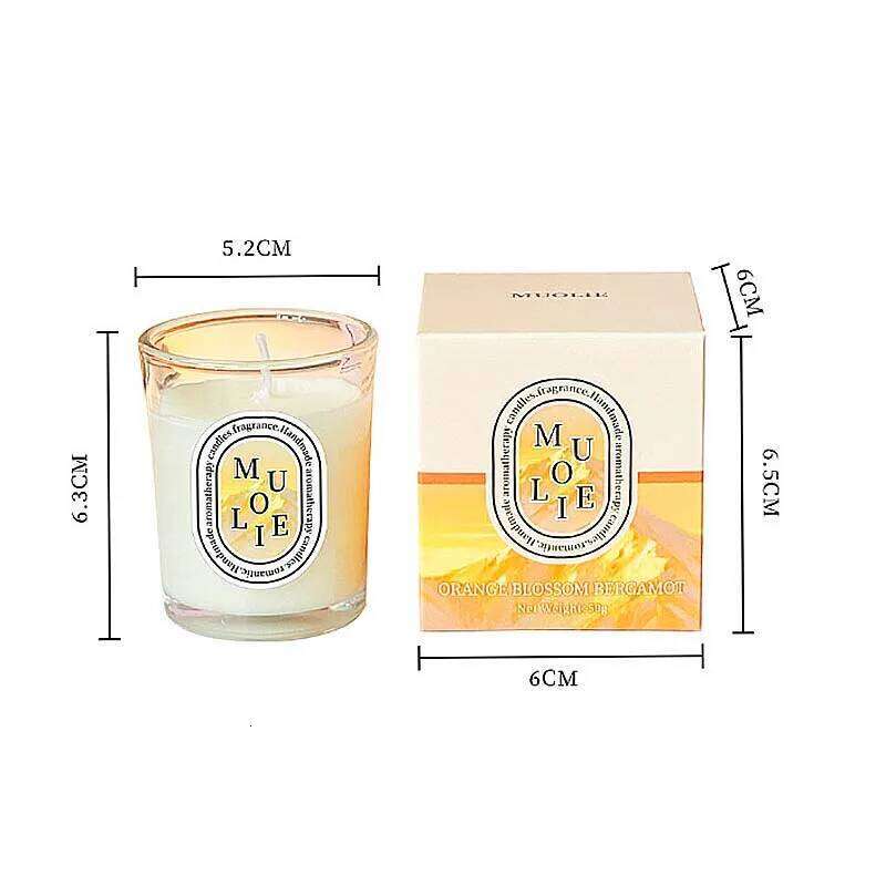 Luxury Scented Candles for Home Decoration Ornaments Soy Wax Jar Aromatherapy Candle Minimalist Design W260304 W260305
