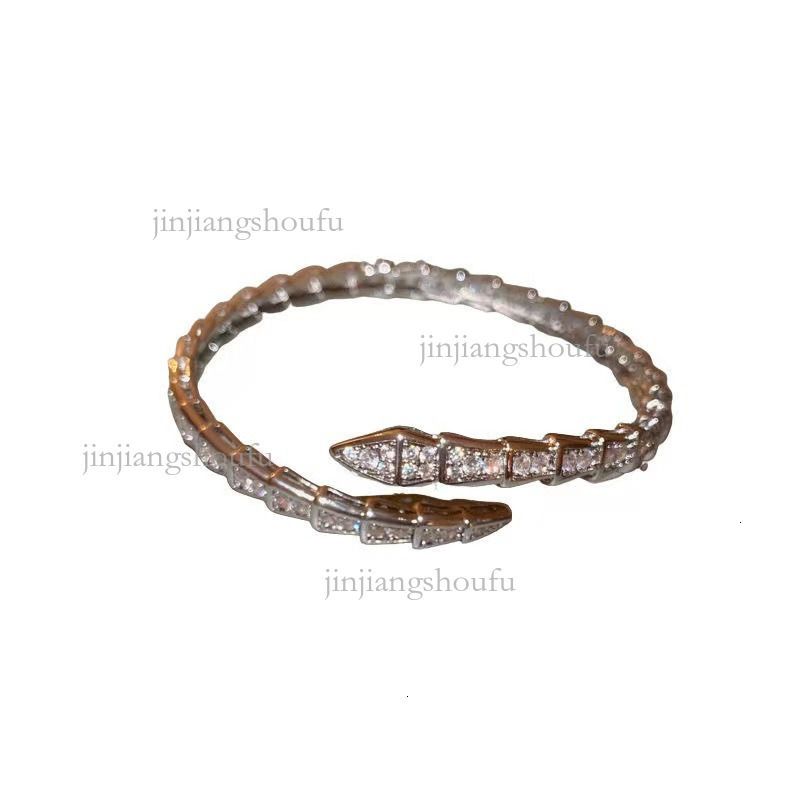 2026 Designer Zircon Snake Bone Bracelet Luxury Brand Women's Niche Design High End Temperament Exquisite Bracelet Fashion Trend Jewelry