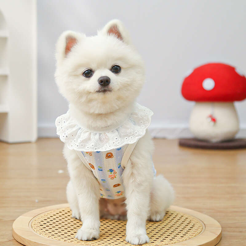 Famous brand Cotton Gauze Breathable Thin Cat Pet Dog Supplies Home Air Conditioning Clothes Outdoor Wearable with Leash pupakaIK