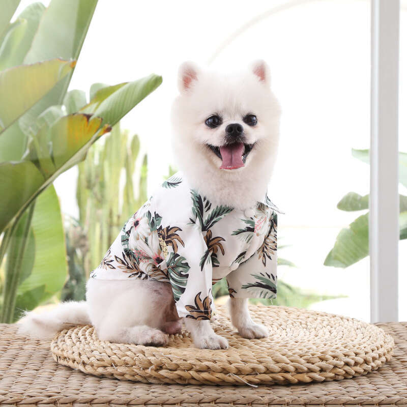 Famous brand Foreign Trade Spring Summer Thin Clothing for Small Medium Dogs and Cats Pineapple Shirt Pet Dog Cat Golden Retriever Clothes Supplies pu