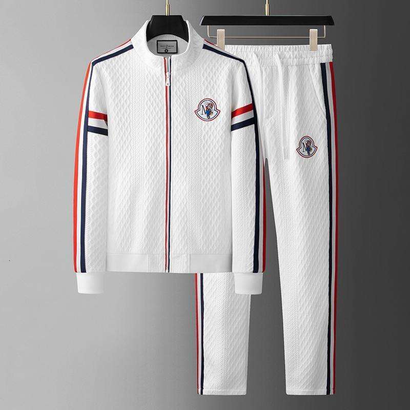 Two Piece Tracksuit Sport Tracksuit For Autumn Golf Brunch Travel Daily Street Mature Loose Fit White Matching Outfit Plus Size Versatile Casual Mens  - view 3