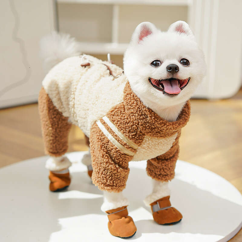 Famous brand Trendy Brand Clothes for Cats Autumn and Winter Thickened Four Legged Jacket Double Sided Fleece Zipper Pet Dog Hairless Cat Supplies pup