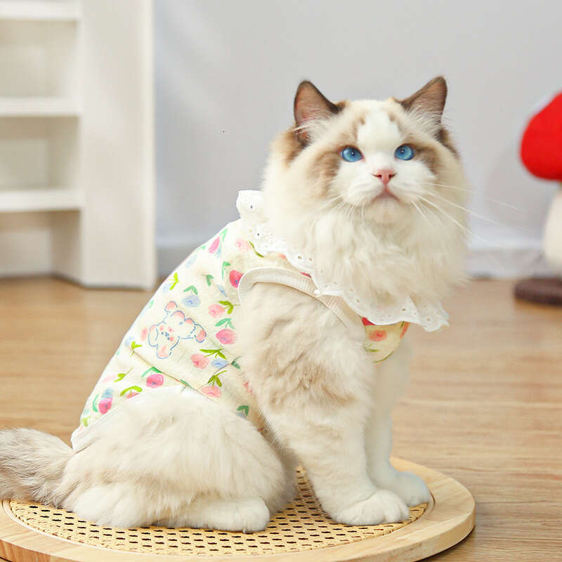 Famous brand Cotton Gauze Breathable Thin Cat Pet Dog Supplies Home Air Conditioning Clothes Outdoor Wearable with Leash pupakaIK
