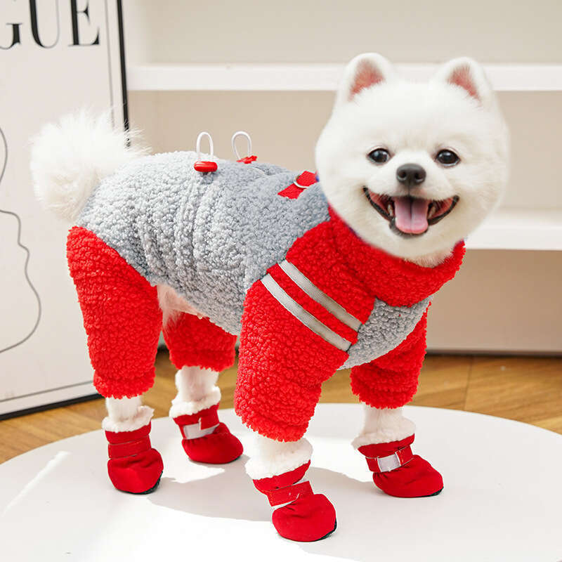 Famous brand Trendy Brand Clothes for Cats Autumn and Winter Thickened Four Legged Jacket Double Sided Fleece Zipper Pet Dog Hairless Cat Supplies pup