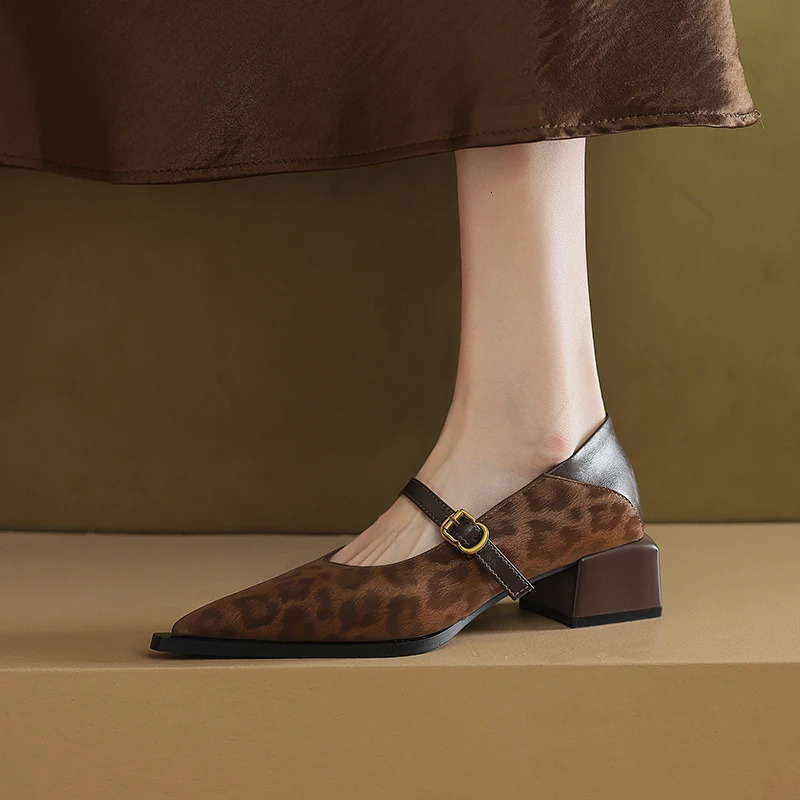 Vintage Pointed Toe Women Mary Jane Shoes Concise Shallow Buckle Shoes 2026 Spring Ladies Elegant Leopard Thick Heel Dress Shoes 260303