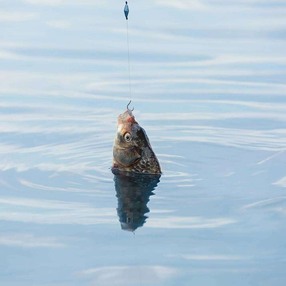 30pcs/50pcs Fishing Accessories - Pop Up Boilies Carp Hooks -Method Feeder Rigs Hook S260305