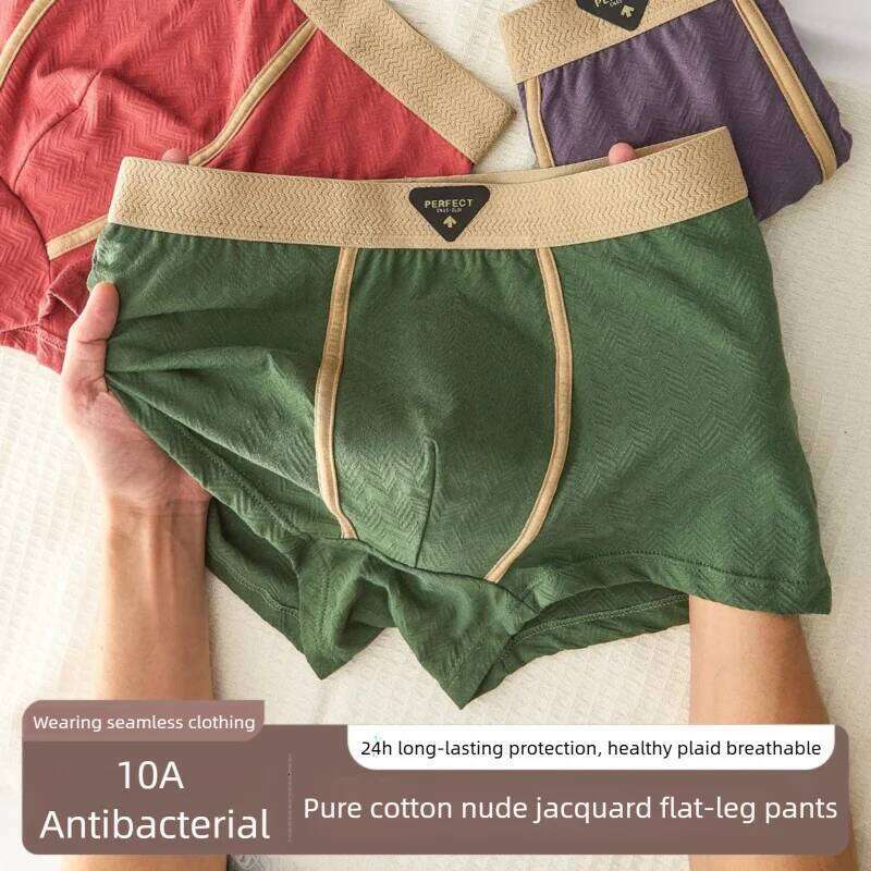 3PC 100% Cotton Underwear Autumn Winter New 10A Antibacterial BoxerShorts Loose Comfortable Men's Quadrangle Underpants