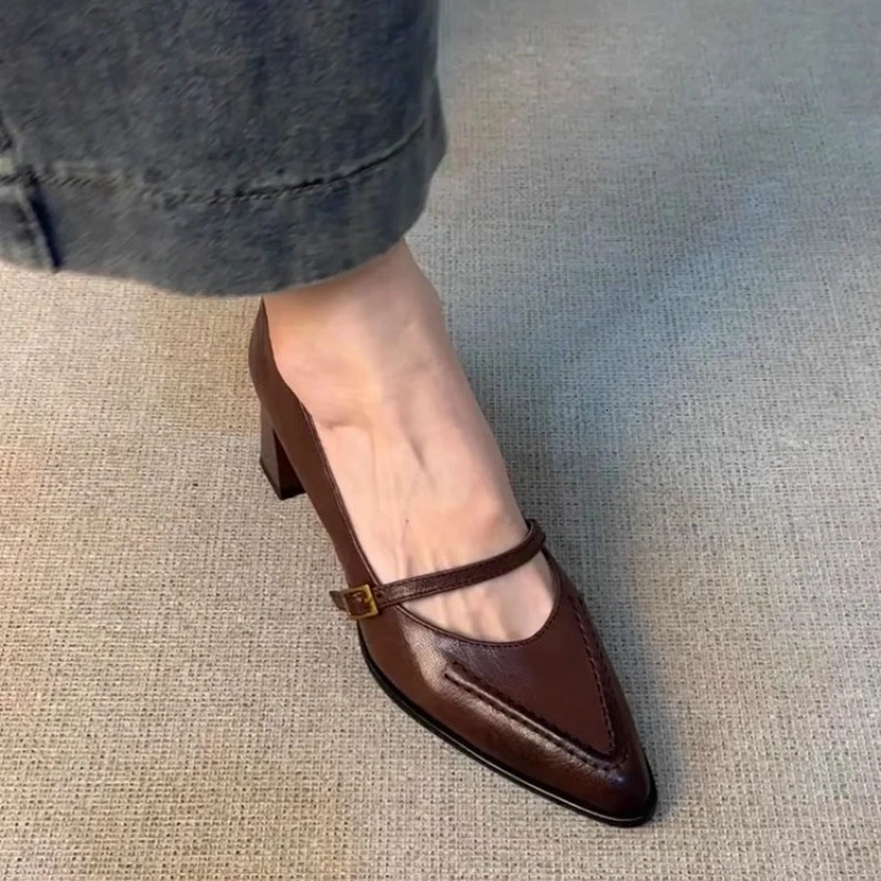 Vintage Spring Thick Heel Women Mary Jane Shoes Shallow Buckle Strap Shoes Ladies Elegant Pointed Toe Dancing Party Pumps 260303