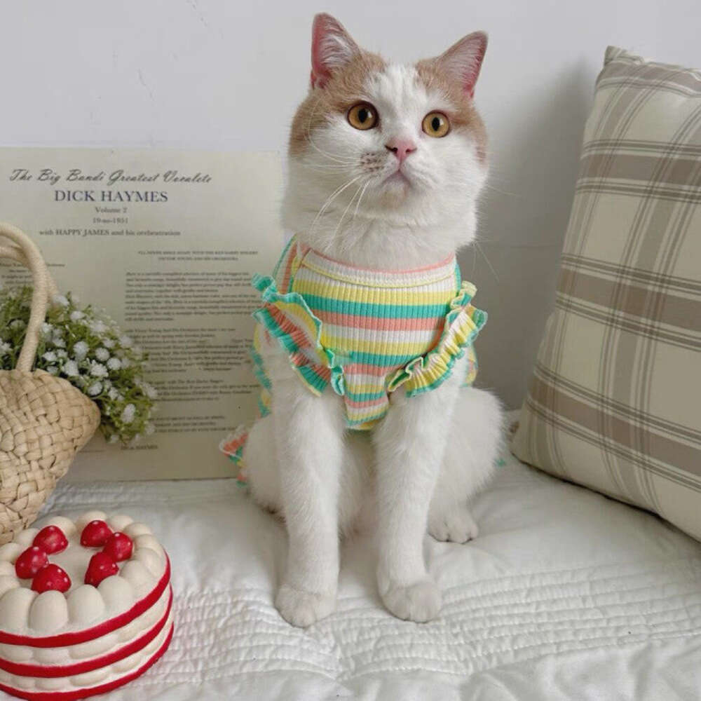 Summer Rainbow Striped Dog Cat Clothes, Thin Wear For Small Dogs, Puppies, And Kittens, Anti-Shedding Summer Vest Manufacturer Bamubi