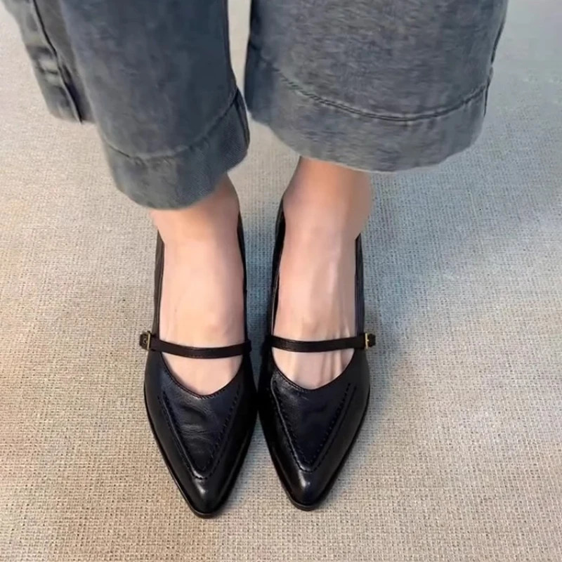 Vintage Spring Thick Heel Women Mary Jane Shoes Shallow Buckle Strap Shoes Ladies Elegant Pointed Toe Dancing Party Pumps 260303
