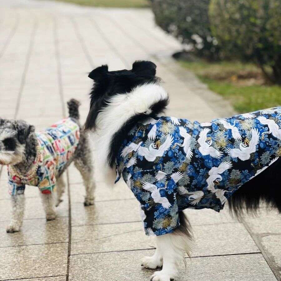 Dog Clothes In Chinese Style Large Dogs, Autumn And Winter Pet Shirt For Labrador, Golden Retriever, Border Collie, Tang Suit Hanfu, Pure Cotton