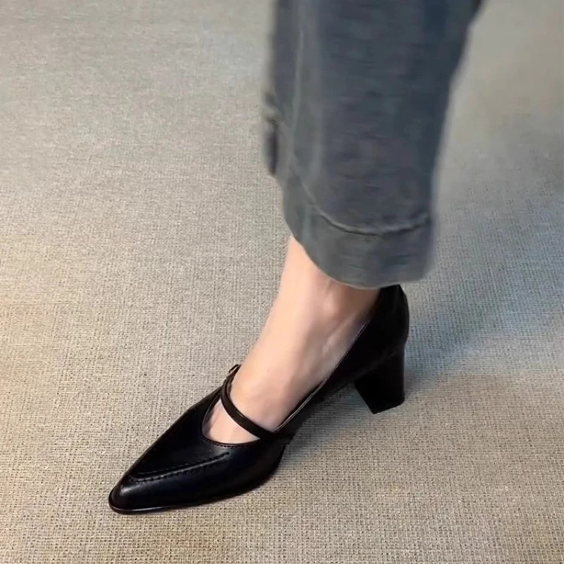 Vintage Spring Thick Heel Women Mary Jane Shoes Shallow Buckle Strap Shoes Ladies Elegant Pointed Toe Dancing Party Pumps 260303