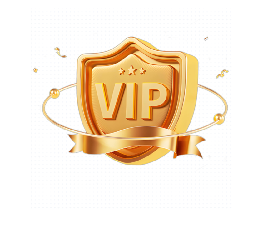 VIP Customer Customized Orders Mixed Order Payment Link
