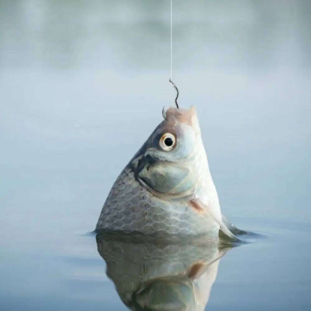 12Pcs/Pack High Carbon Steel Hook Sharp Barbed Automatic Flip Fishhook for Carp Fishing Accessories Y260305