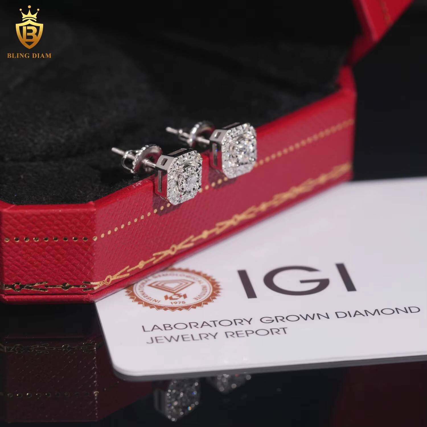 Hot Sale Fine Jewelry 925 Sterling Silver Diamond Lab Diamond Earrings Iced Out Jewelry Earrings Women with IGI Certification