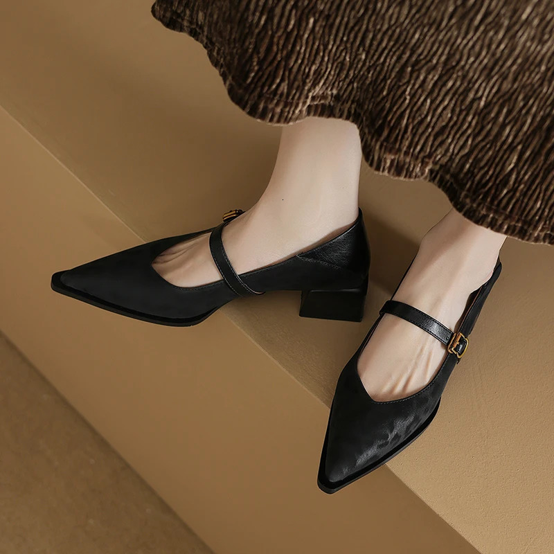 Vintage Pointed Toe Women Mary Jane Shoes Concise Shallow Buckle Shoes 2026 Spring Ladies Elegant Leopard Thick Heel Dress Shoes 260303