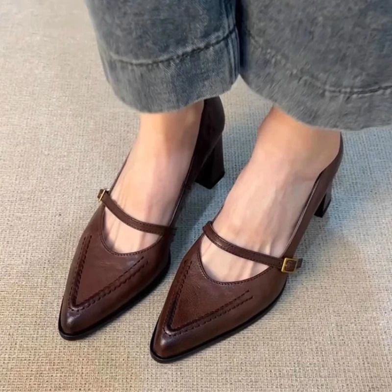 Vintage Spring Thick Heel Women Mary Jane Shoes Shallow Buckle Strap Shoes Ladies Elegant Pointed Toe Dancing Party Pumps 260303