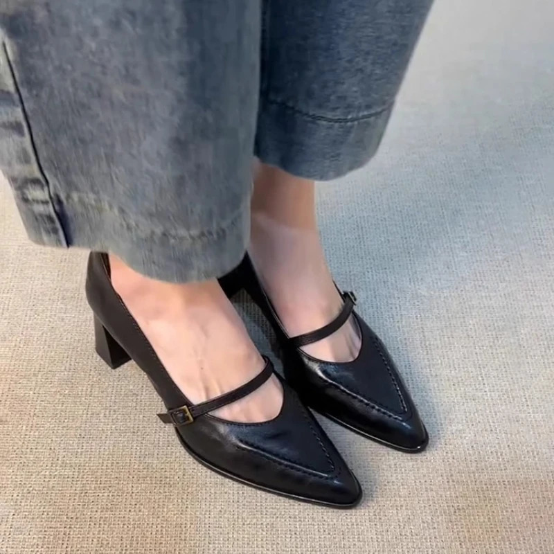 Vintage Spring Thick Heel Women Mary Jane Shoes Shallow Buckle Strap Shoes Ladies Elegant Pointed Toe Dancing Party Pumps 260303