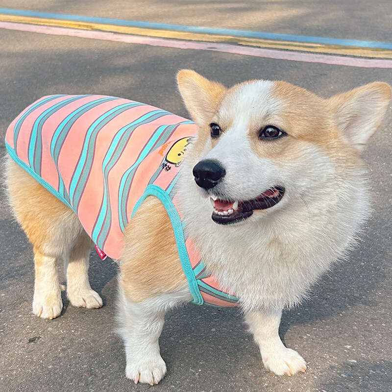 Corgi Shiba Inu Dog Clothes Anti-Shedding New Model Four Seasons Wear Teddy Stripe Pet Vest Bamubi