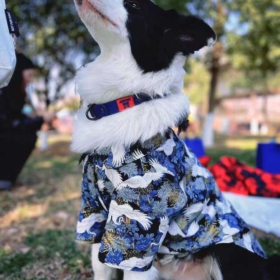 Dog Clothes In Chinese Style Large Dogs, Autumn And Winter Pet Shirt For Labrador, Golden Retriever, Border Collie, Tang Suit Hanfu, Pure Cotton