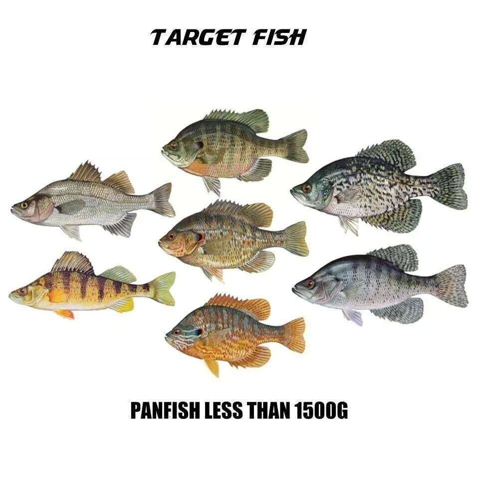 50pcs/ lots small hooks panfish perch trout sunfish bluegrill crucian barbed and no barb fishhook for stream fishing Y260305