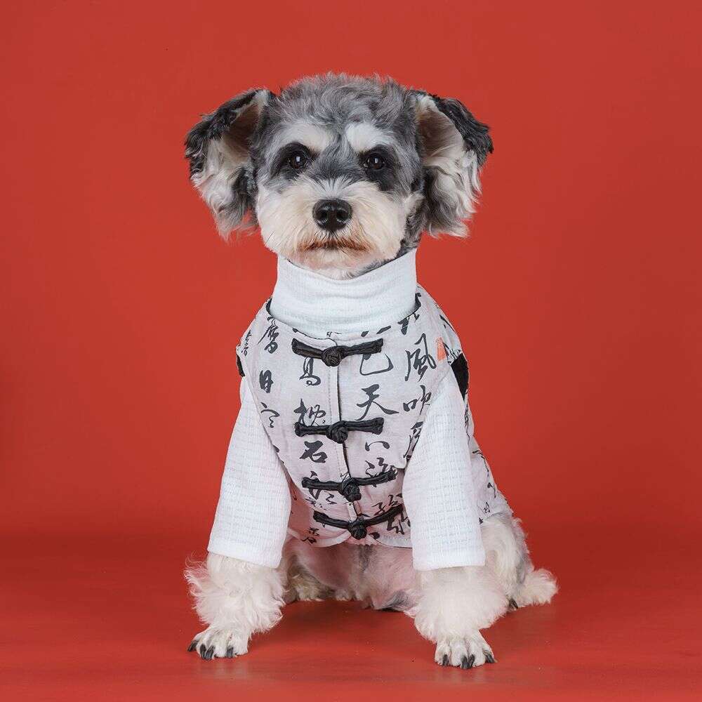 Chinese-Style Calligraphy Dog Clothes, Warm Stylish Autumn Winter, Suitable For Teddy, Bichon, Pomeranian, Schnauzer, And Other Small Dogs