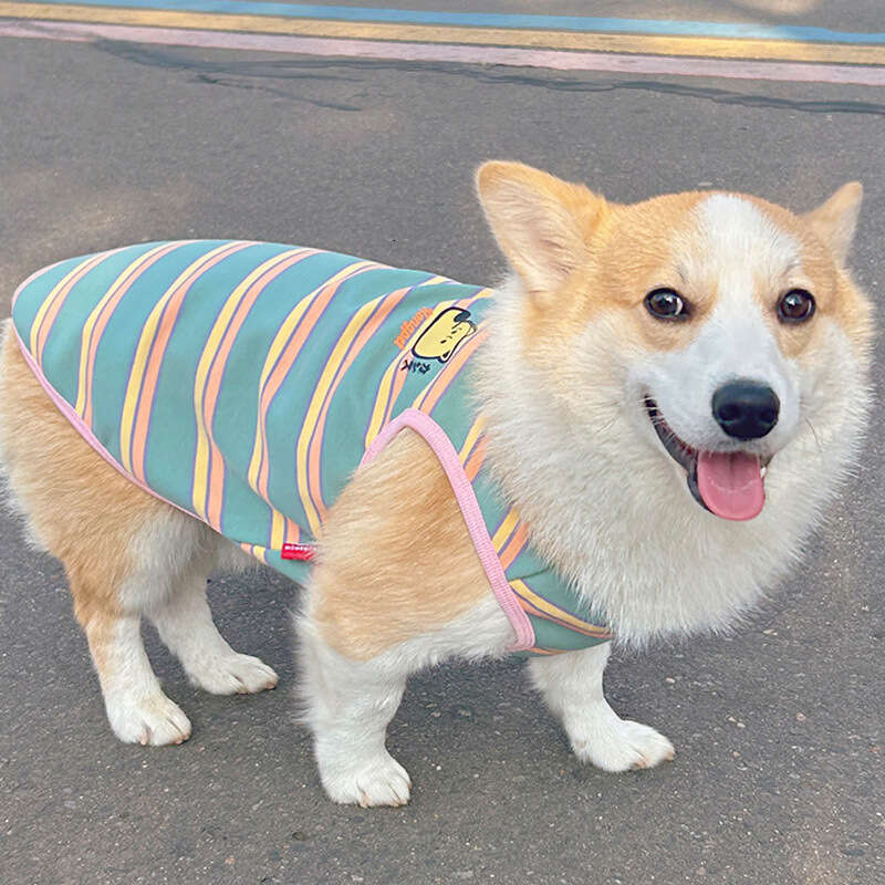 Corgi Shiba Inu Dog Clothes Anti-Shedding New Model Four Seasons Wear Teddy Stripe Pet Vest Bamubi