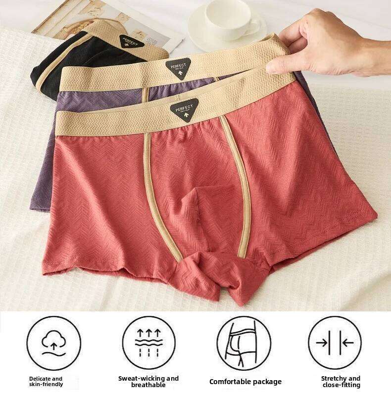 3PC 100% Cotton Underwear Autumn Winter New 10A Antibacterial BoxerShorts Loose Comfortable Men's Quadrangle Underpants