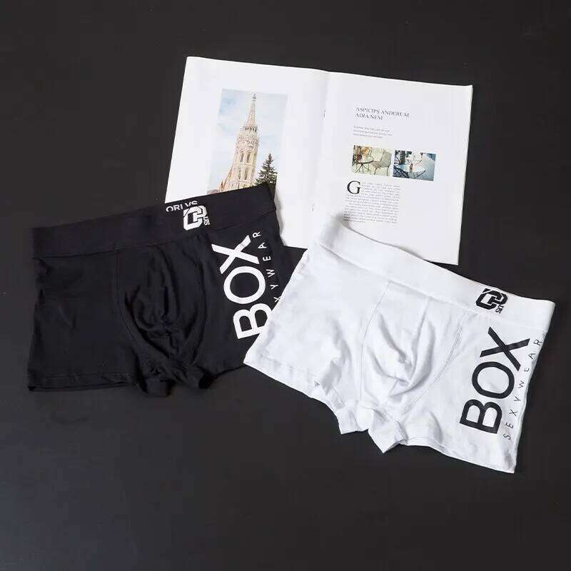 1/2 Pcs ORLVS Mens Boxer Sexy Underwear Long Boxershorts Cotton Soft Male Panties 3D Pouch Shorts Under Wear Pants Short