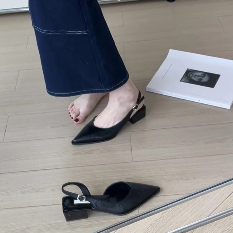 Summer Fashion Pointed Toe Women Sandals Shallow Low Heel Slingbacks Ladies Casual Dress Street Style Shoes 260303