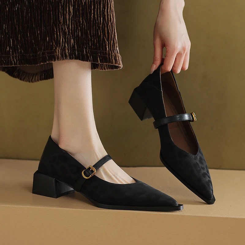 Vintage Pointed Toe Women Mary Jane Shoes Concise Shallow Buckle Shoes 2026 Spring Ladies Elegant Leopard Thick Heel Dress Shoes 260303