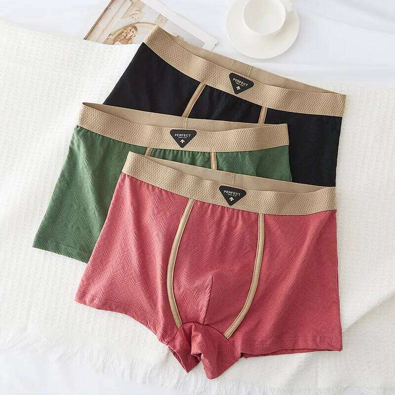 3PC 100% Cotton Underwear Autumn Winter New 10A Antibacterial BoxerShorts Loose Comfortable Men's Quadrangle Underpants