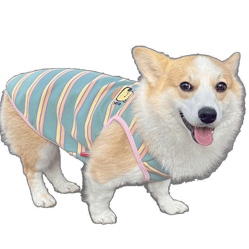 Corgi Shiba Inu Dog Clothes Anti-Shedding New Model Four Seasons Wear Teddy Stripe Pet Vest Bamubi
