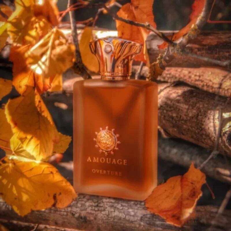 100ml Men Perfume Woody Aromatic Eau De Parfum Long Lasting Warm Rich Elegant Masculine Fragrance with Captivating Depth 26H0306
