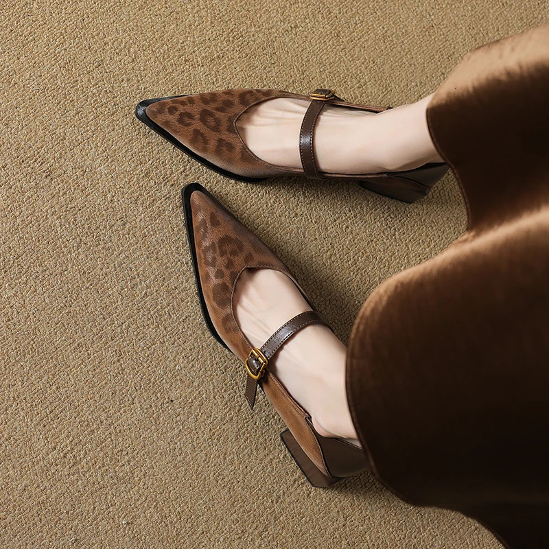 Vintage Pointed Toe Women Mary Jane Shoes Concise Shallow Buckle Shoes 2026 Spring Ladies Elegant Leopard Thick Heel Dress Shoes 260303